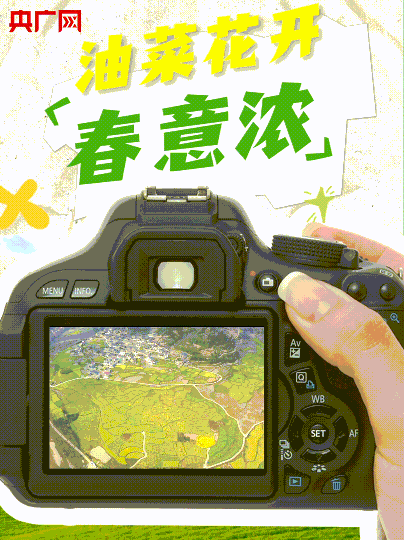 【发现春之美】田园美景入画来 贵州镇远千亩油菜花竞相绽放图片