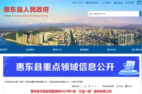 广东省惠州市惠东县市场监督管理局2025年1月“三品一械”案件信息公示图片