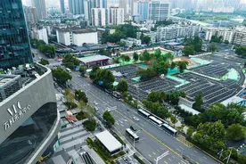 “微更新”缓解节日大堵车 武汉动物园周边新增2317个停车位图片