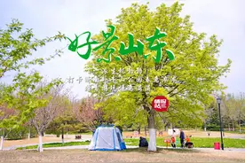 4月6日最佳情报|梨花盛开满园香，卧牛山公园踏青好惬意！恭喜图片