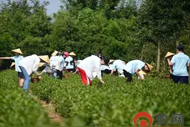 青岛市即墨区龙泉街道石门村——美丽乡村宜居富民图片