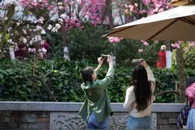 美好生活在云南｜“春和景明”四个字在这里具象化了！图片
