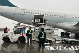 高甜水果飞抵西安 澳大利亚车厘子首次在陕西批量入境图片
