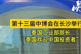 第十三届中博会|泰国工业部部长：泰国欢迎中国投资者视频封面