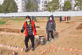 宁强大安镇为搬迁群众建“安馨菜园”图片