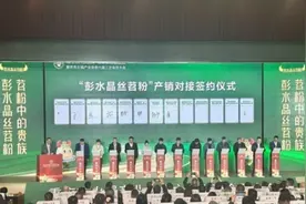 重庆彭水：推动“小红薯”成长为“大产业” 打造名副其实的“中国苕粉之都”图片