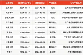 本周三只新股申购，年内发行价最低、发行规模最大公司齐上阵图片