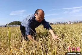 （两会访谈）农业专家刘木华履职记图片