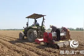 驻马店：深耕细种小麦  筑牢夏粮生产基础图片