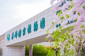 奔赴春日之约 灞桥区惠王中心小学开启秦岭国家植物园研学之旅图片