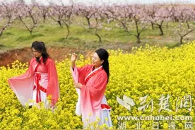湖北枣阳开展“多彩熊河地·缘定桃花源”万人赏花行活动图片