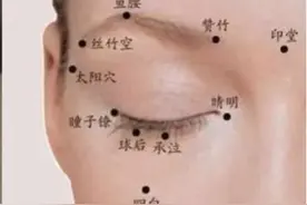春季养生有哪些新招式？深圳中医给您支招图片