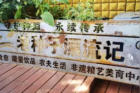 ​“老种子”漂流记：她走访乡村寻种，为种子找新家，10年来保育千余种物种图片