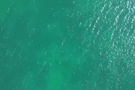 西藏那曲：鸟瞰错那湖图片