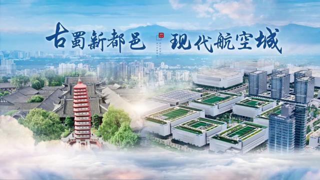 牛肉花胶汤 2026年花胶牛肉白鸽汤怎么做