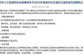 河北多地招公益性岗位限2024届未就业大学生：薪资为最低工资标准，可随时离职图片