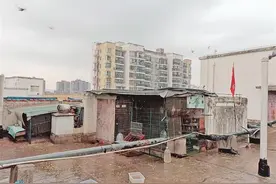 芜湖一小区楼顶有人养鸽子 邻居们很烦恼 相关部门回应图片