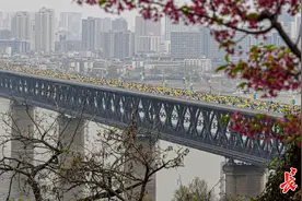 樱花季 越江湖｜“金标”汉马“金”在哪？参加汉马的他们四字总结图片