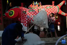 文化中国行丨璀璨鱼灯焕发新生机图片