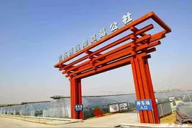 去大场 趣研学丨南辛庄草莓科普基地：邂逅“莓”好 满载甜蜜图片