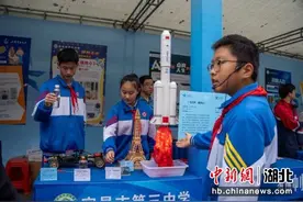 宜昌市首届中学生数理文化节成功举办图片
