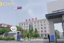 从精细筛分设备到系统，高服股份持续在专业领域做“加法”| 新乡振动向“新”力图片