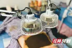 对抗“断崖式衰老” 中西医结合科有秘招图片