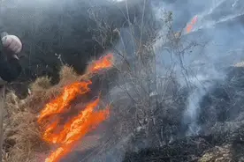 2至4月为森林高火险期，多地敲响防火警钟！《贵州省森林防火条例》有哪些规定？图片
