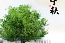 “月满中秋——言子书院中秋游园会”将在奉贤举办图片