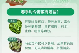 清明踏春去，野菜正当时！收好这份食用指南图片