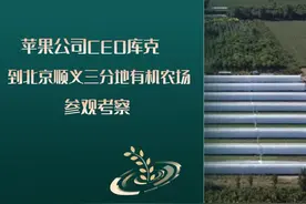 苹果公司CEO库克到北京顺义三分地有机农场参观考察图片