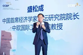 中国首席经济学家论坛研究院院长盛松成：增加收入是促消费的关键图片