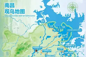 最新！南昌发布候鸟观赏地图图片