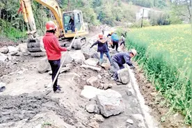 “小项目”书写乡村振兴“大文章”图片