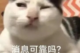 “所长”说了 八万就够！图片