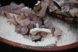 “吉贝”寻味海南｜鱼茶肉茶，你吃过吗？图片