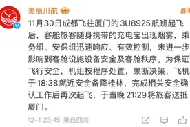 充电宝冒烟致航班备降，如何安全携充电宝乘机？图片
