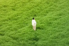 小众又好玩的宝藏地在黄陂哪里→图片