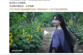 李子柒停更原因：不愿和微念撕破脸 双方已和解图片