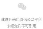 巴黎时装周预演2025春夏时尚新态度，畅享一场美学盛宴图片