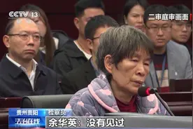 独家披露庭审画面！余华英贩卖的第一个孩子竟是自己的亲生儿子 被拐儿童亲手送“恶魔”上法庭图片