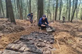 春到乌蒙山——贵州赫章经济一线见闻图片