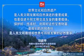 习近平：历史文化遗产承载着中华民族的基因和血脉图片