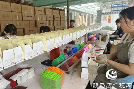 驿城区水屯镇：小粉笔绘出村民多彩“致富路”图片