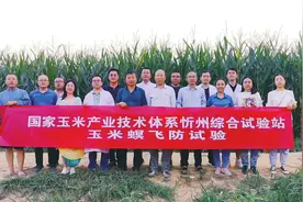 农药研发向“绿”而行图片