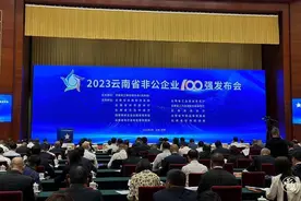 2023年云南省非公企业100强揭晓 完整榜单看这里→图片