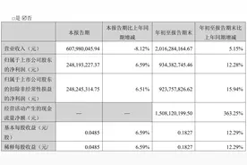 陕国投前三季度营收净利双增，年内合计分红超4亿元图片