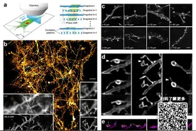 一周要闻：突破1000颗！“中国天眼”发现脉冲星数量国际领先图片