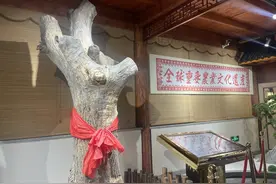 一棵桑树至少有“五宝”，解码千年桑树上的“新质生产力”｜探“先”山东图片