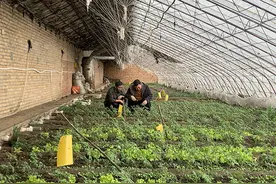 霍林郭勒市：发挥特色优势 赋能乡村振兴图片